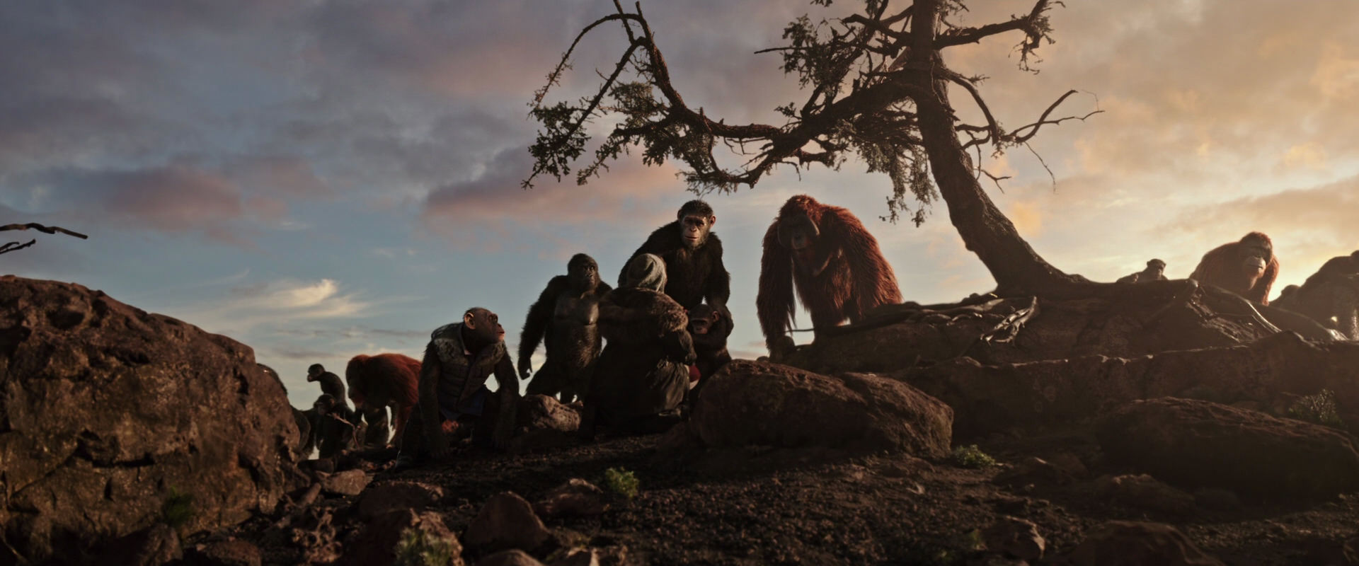 War for the Planet of the Apes (2017) movie still 15091