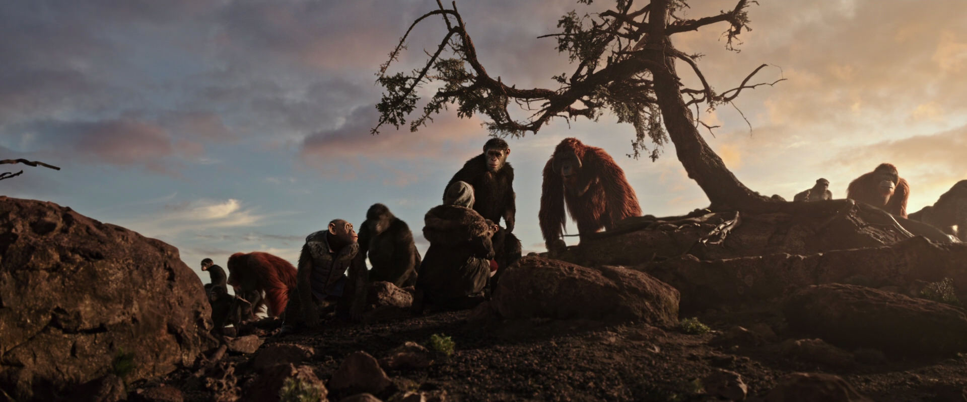 War for the Planet of the Apes (2017) HD screenshot 15092