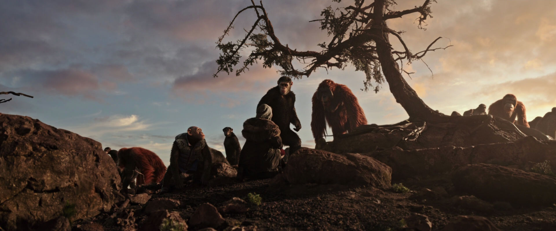 War for the Planet of the Apes (2017) screencap 15093