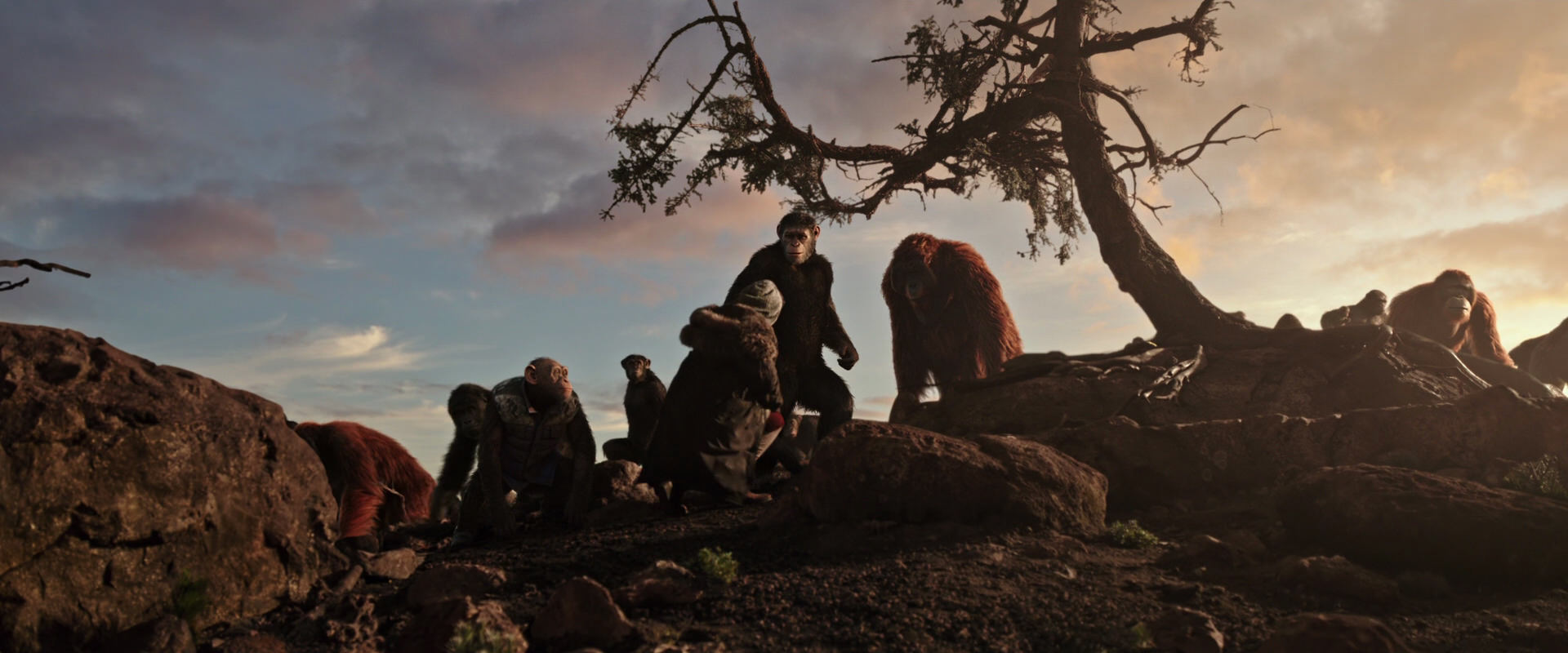 War for the Planet of the Apes (2017) movie still 15094