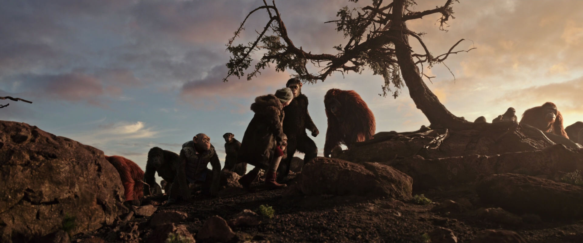 War for the Planet of the Apes (2017) HD screenshot 15095