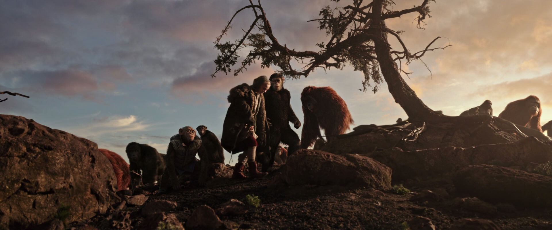 War for the Planet of the Apes (2017) screencap 15096