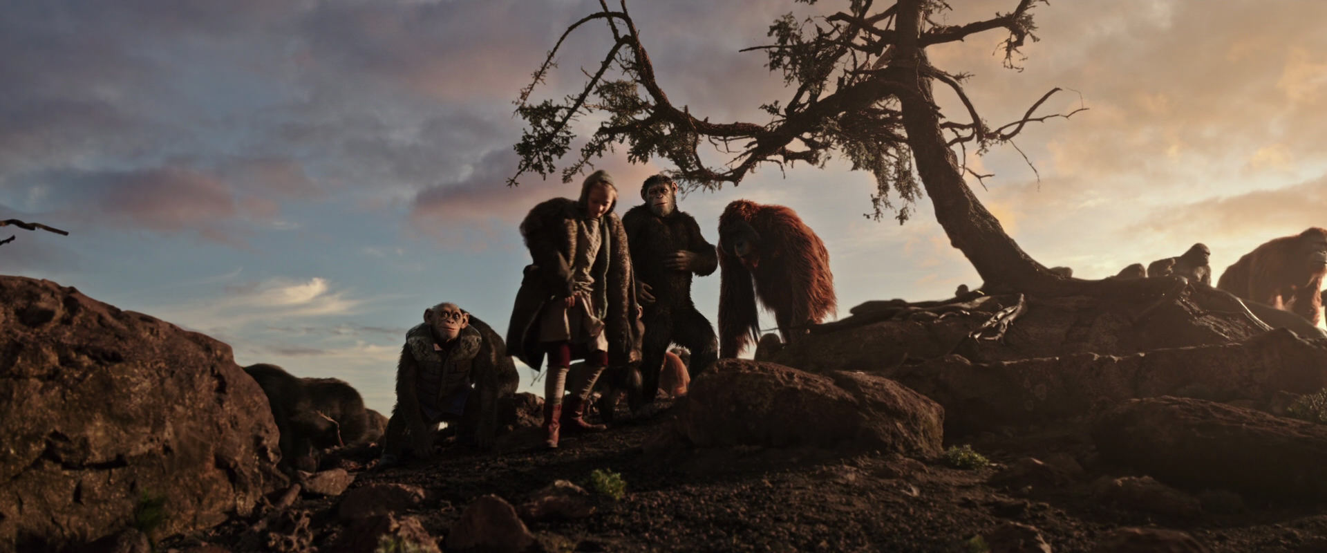 War for the Planet of the Apes (2017) movie still 15097