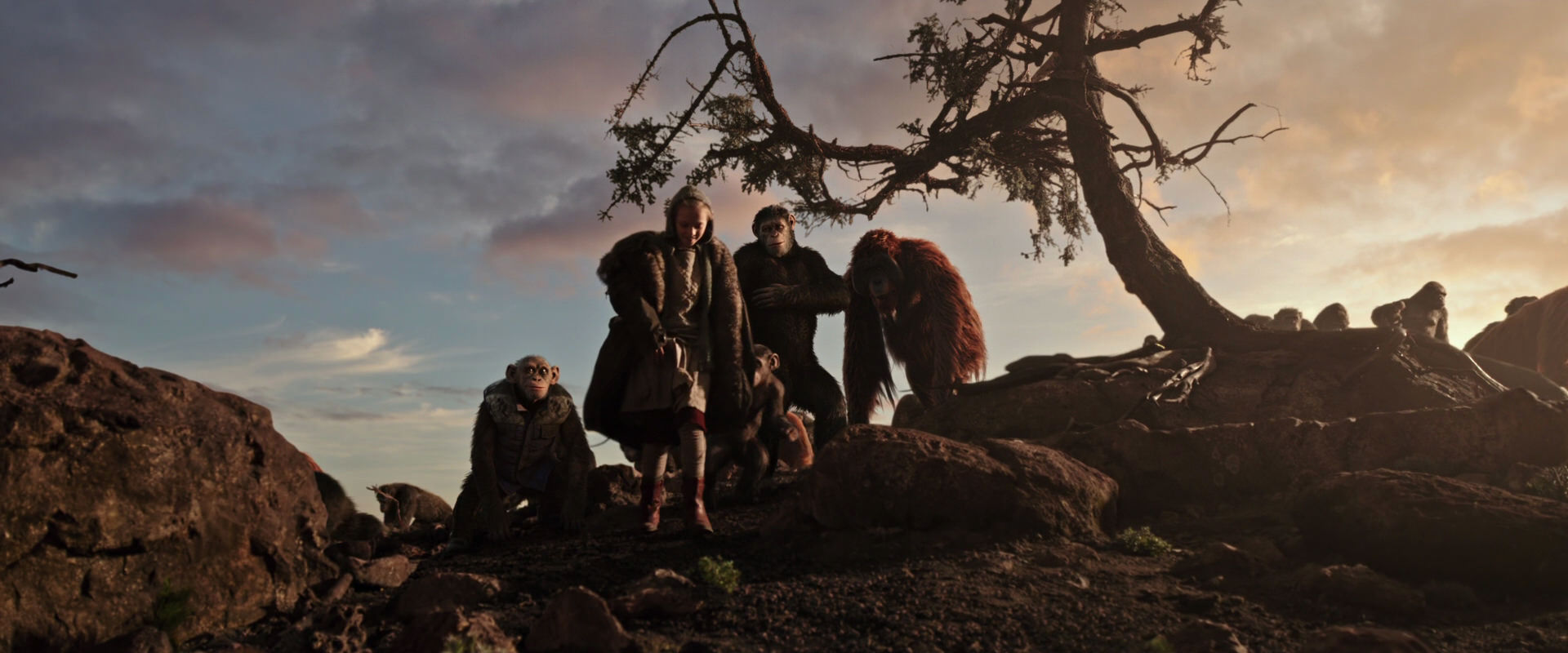 War for the Planet of the Apes (2017) HD screenshot 15098