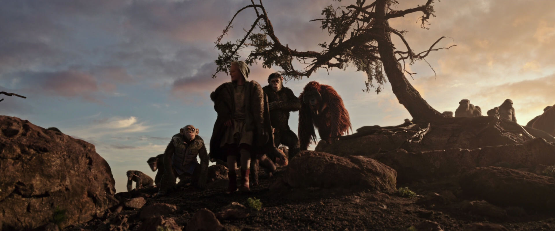 War for the Planet of the Apes (2017) screencap 15099