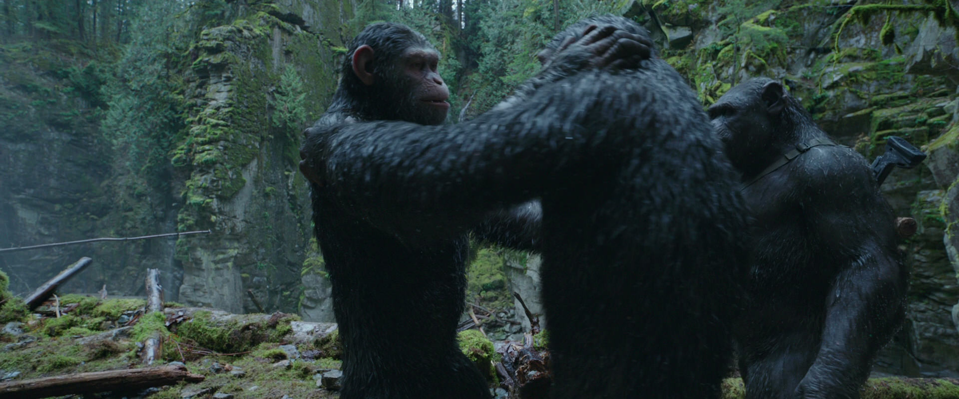 War for the Planet of the Apes (2017) movie still 1510
