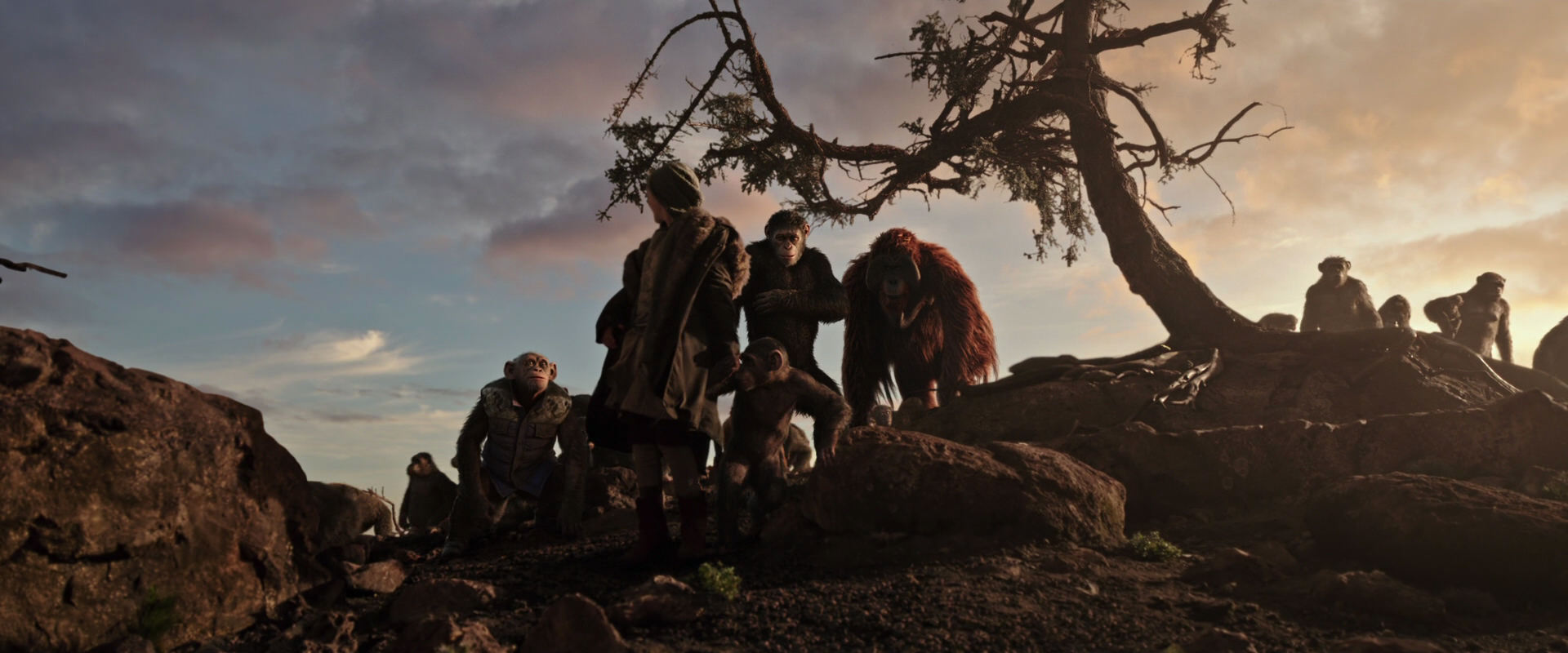 War for the Planet of the Apes (2017) HD screenshot 15101