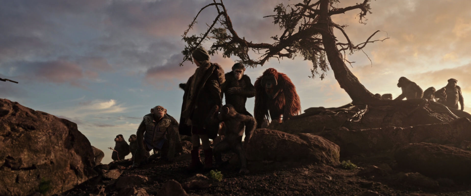 War for the Planet of the Apes (2017) movie still 15103