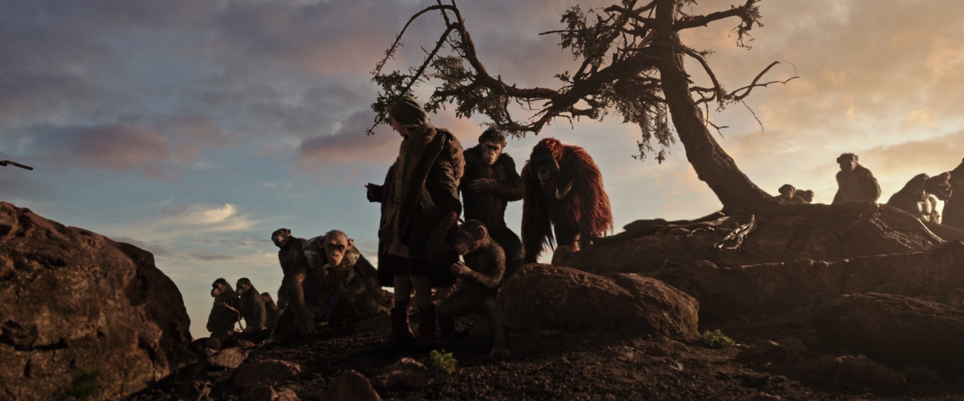War for the Planet of the Apes (2017) screencap 15105