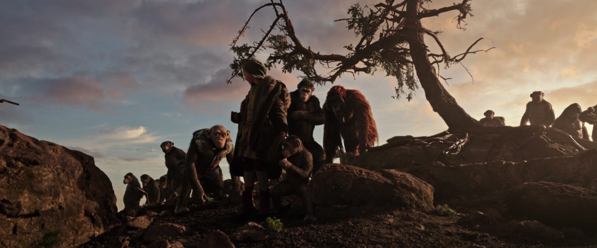 War for the Planet of the Apes (2017) movie still 15106