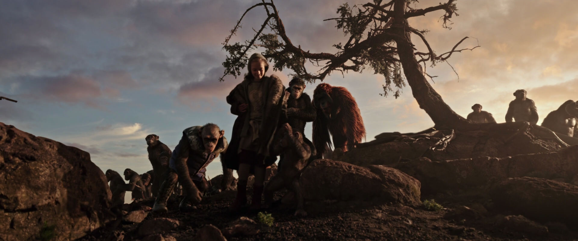 War for the Planet of the Apes (2017) HD screenshot 15107