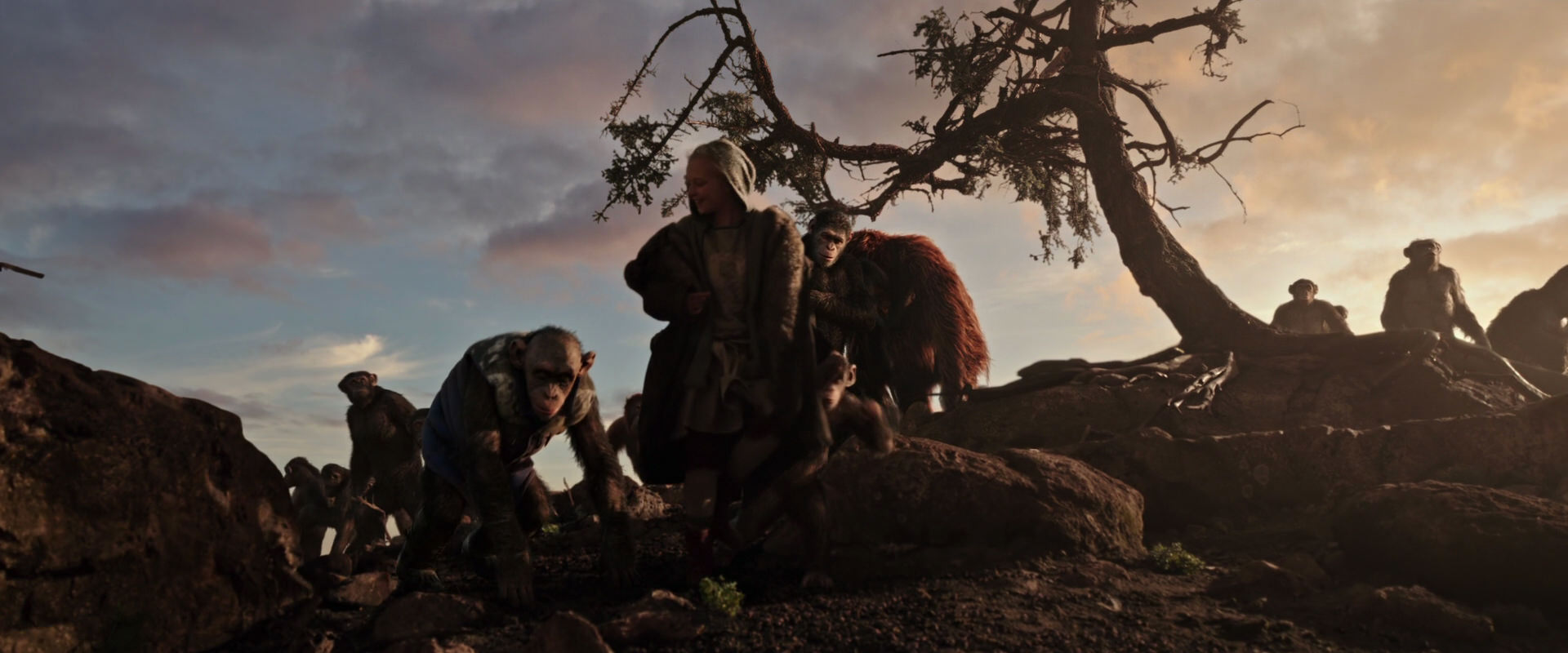 War for the Planet of the Apes (2017) screencap 15108