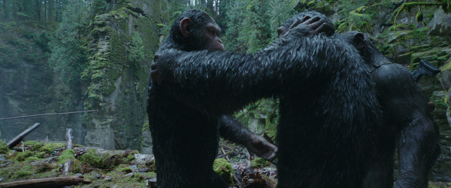 War for the Planet of the Apes (2017) HD screenshot 1511