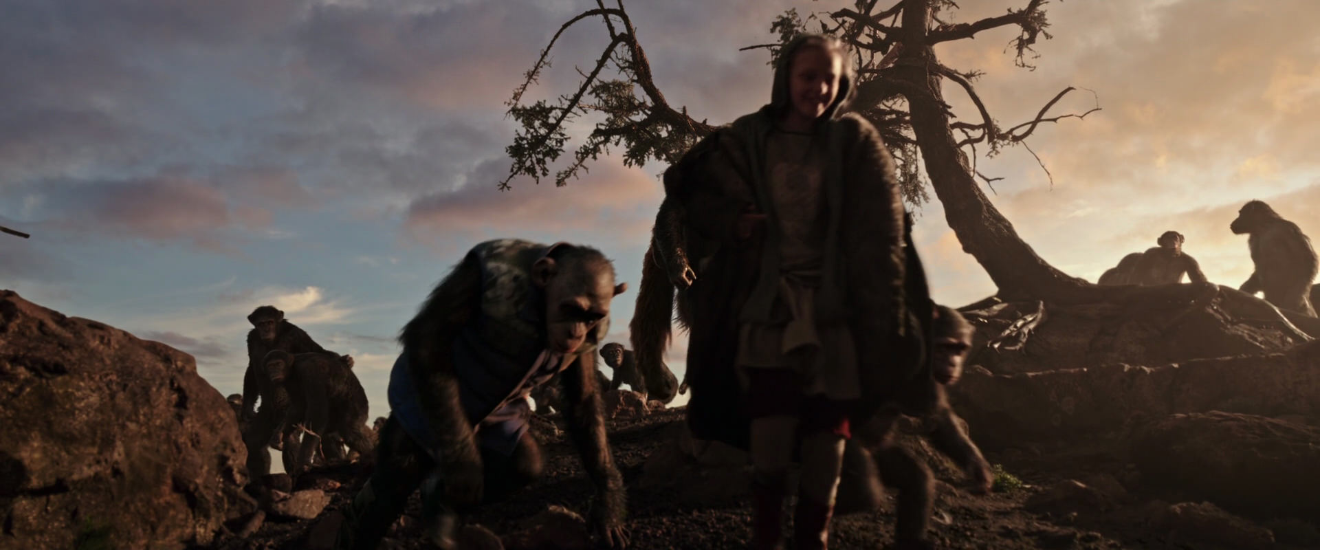War for the Planet of the Apes (2017) screencap 15111