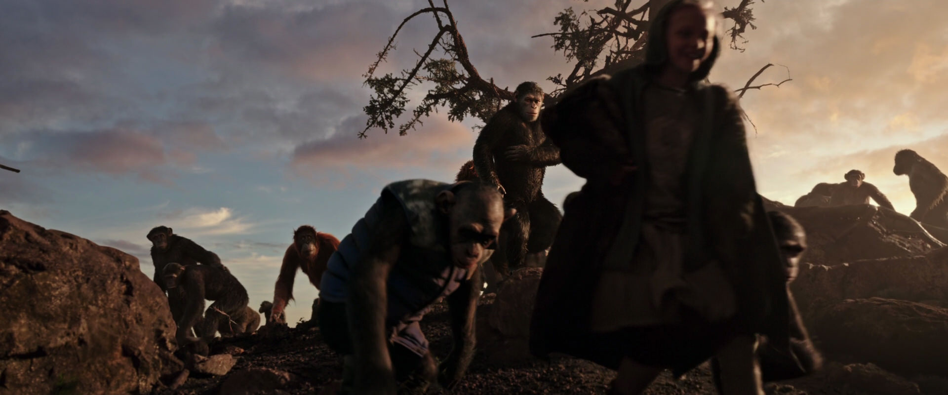 War for the Planet of the Apes (2017) movie still 15112