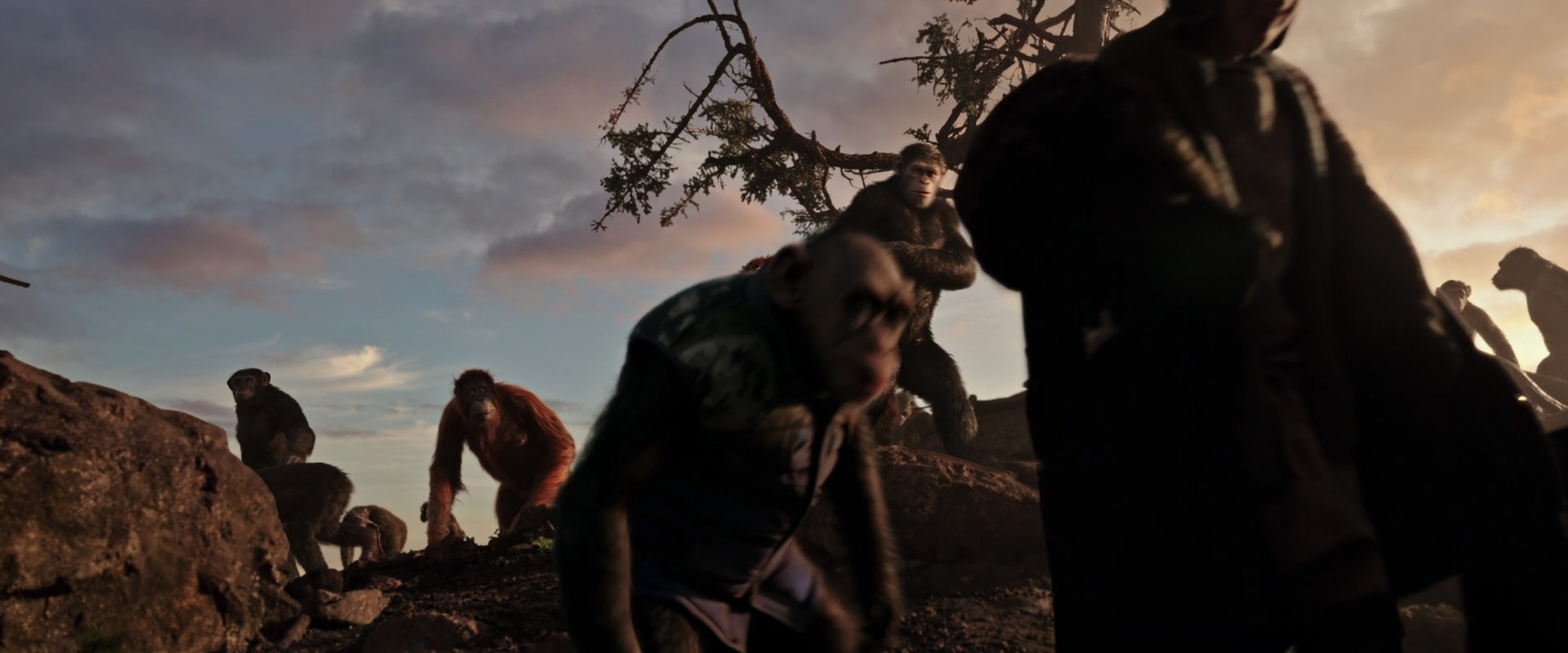 War for the Planet of the Apes (2017) HD screenshot 15113