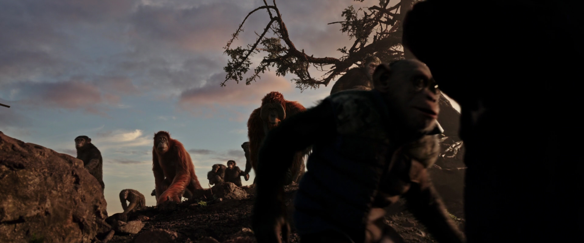 War for the Planet of the Apes (2017) screencap 15114