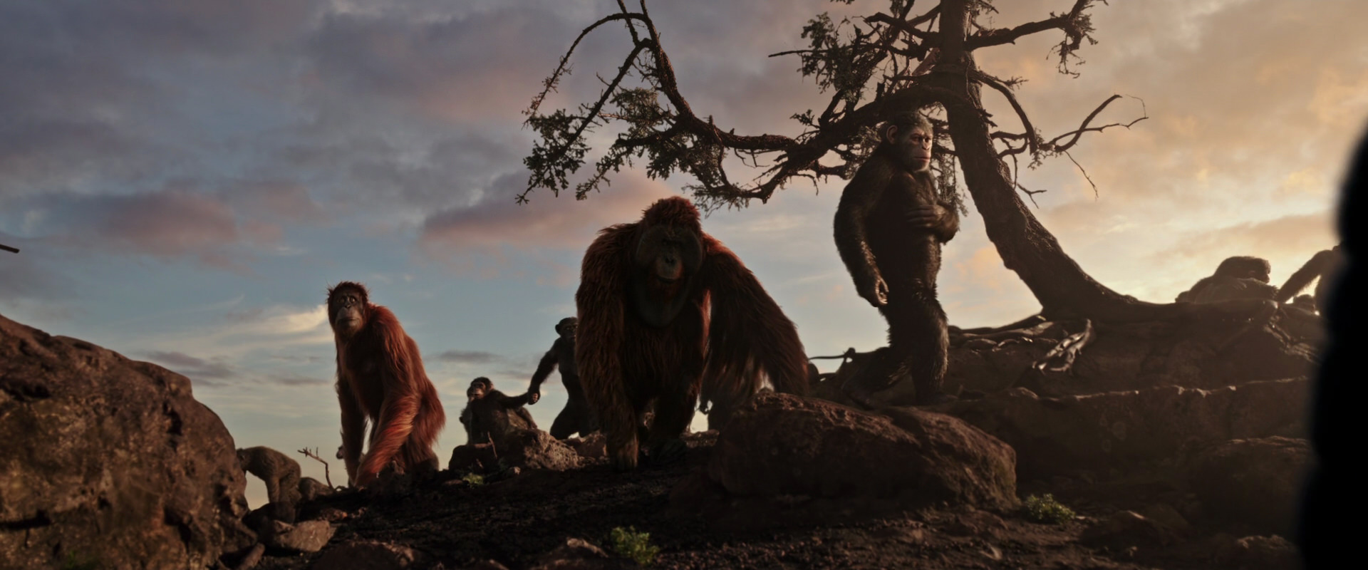 War for the Planet of the Apes (2017) HD screenshot 15116