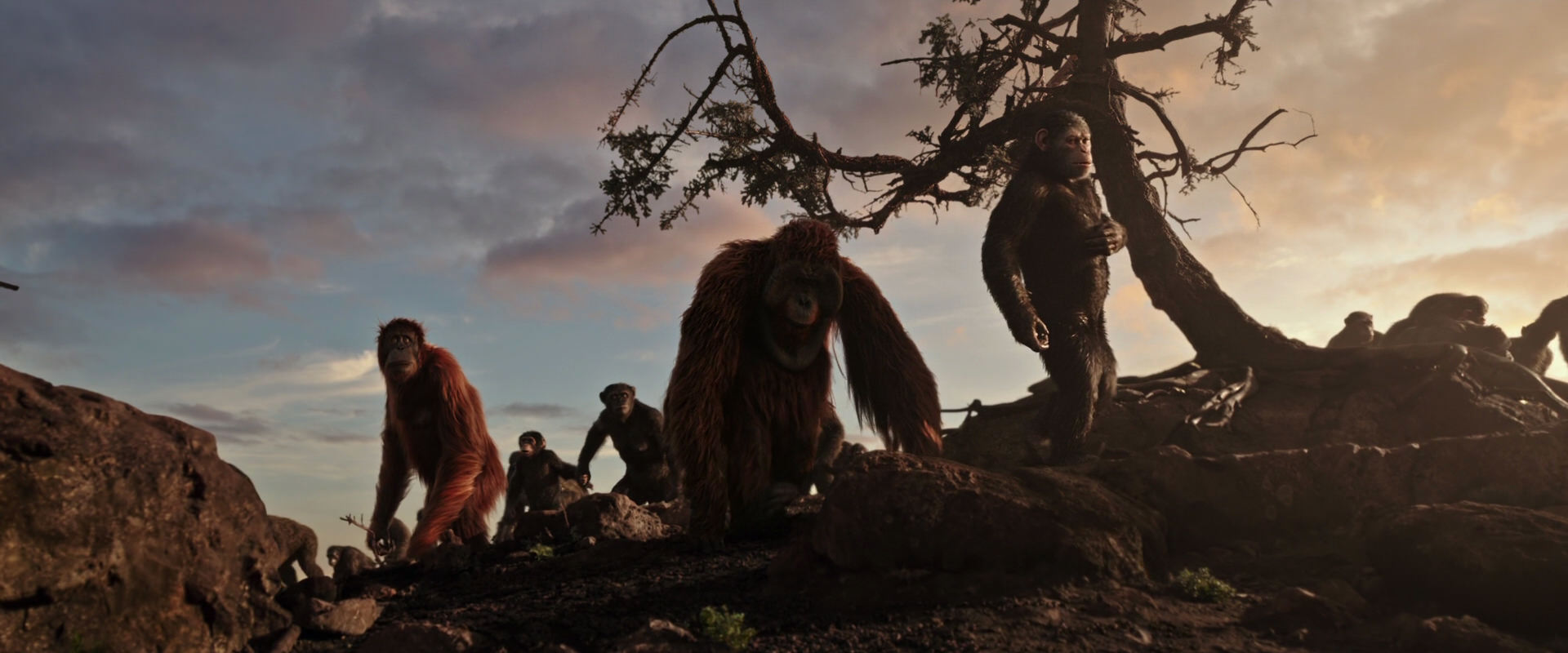 War for the Planet of the Apes (2017) screencap 15117