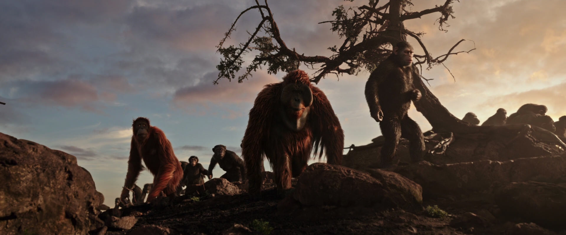 War for the Planet of the Apes (2017) movie still 15118