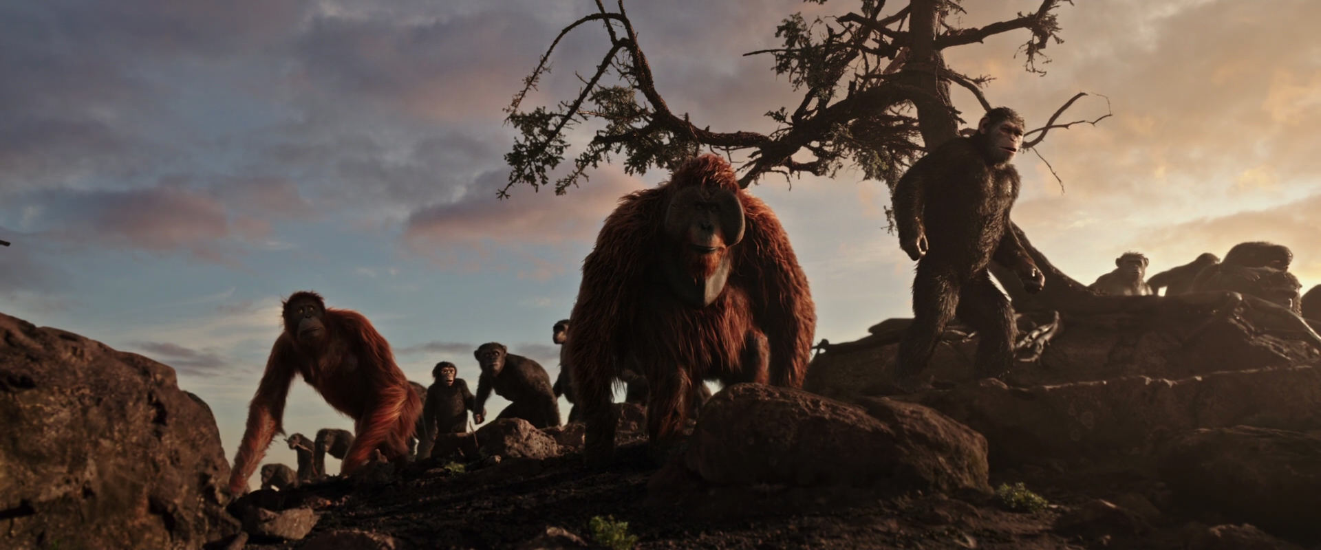 War for the Planet of the Apes (2017) HD screenshot 15119