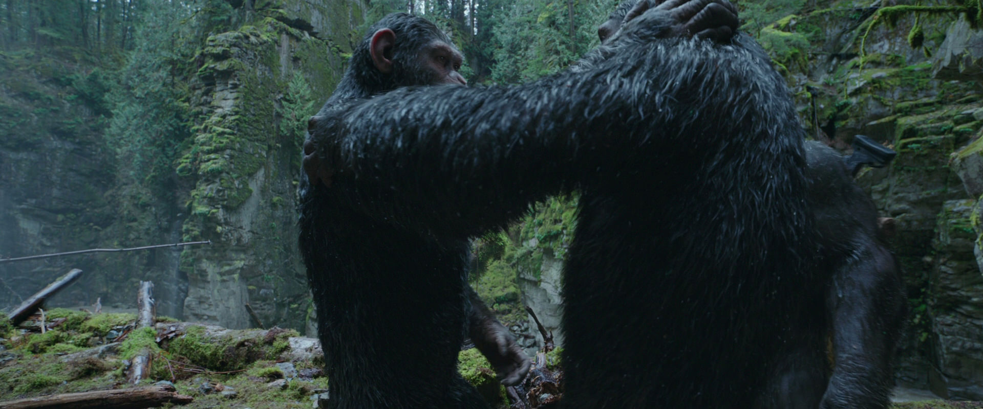 War for the Planet of the Apes (2017) screencap 1512