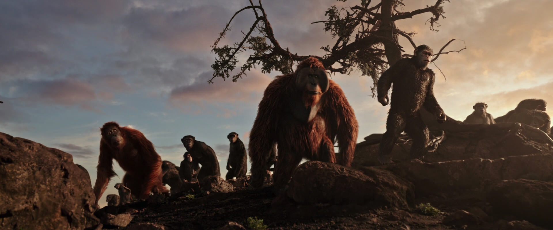 War for the Planet of the Apes (2017) screencap 15120