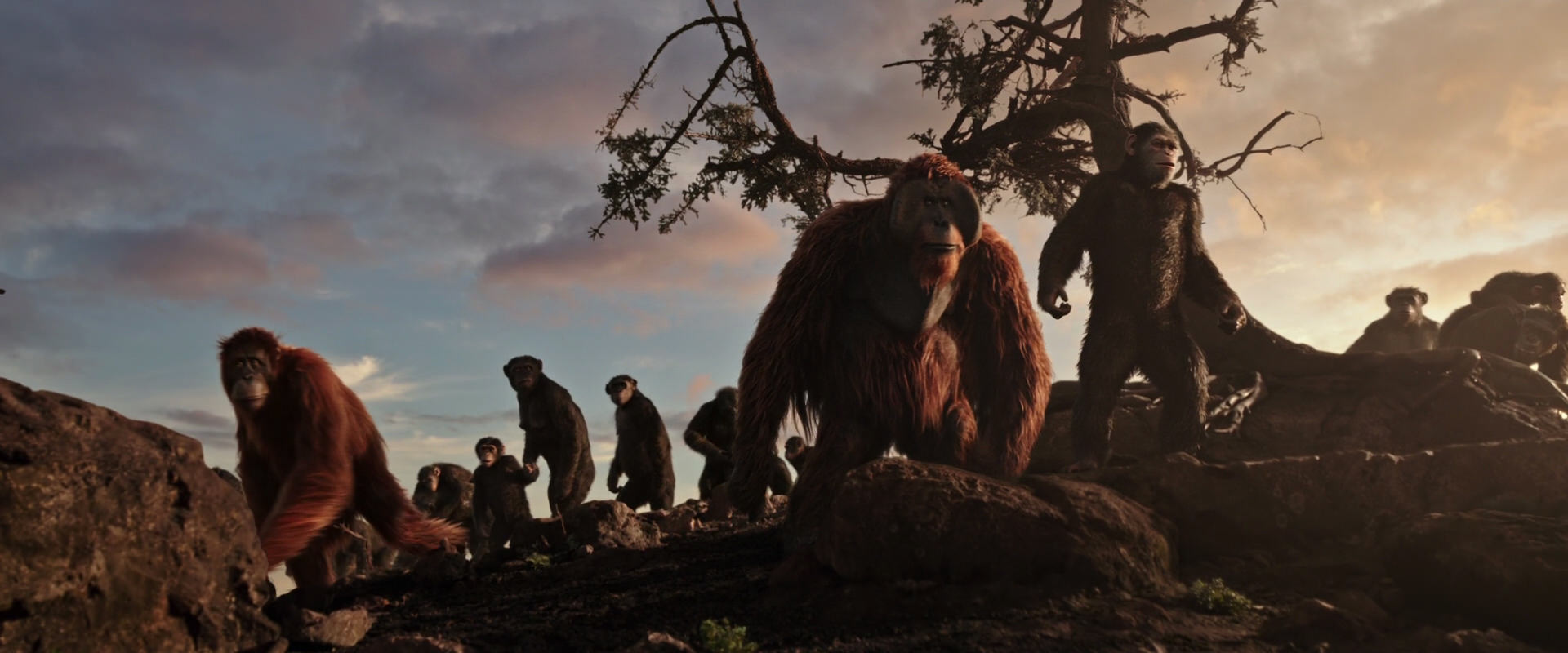 War for the Planet of the Apes (2017) movie still 15121