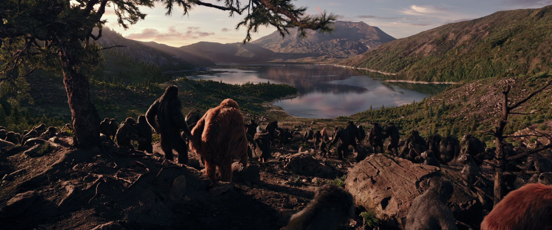 War for the Planet of the Apes (2017) screencap 15123