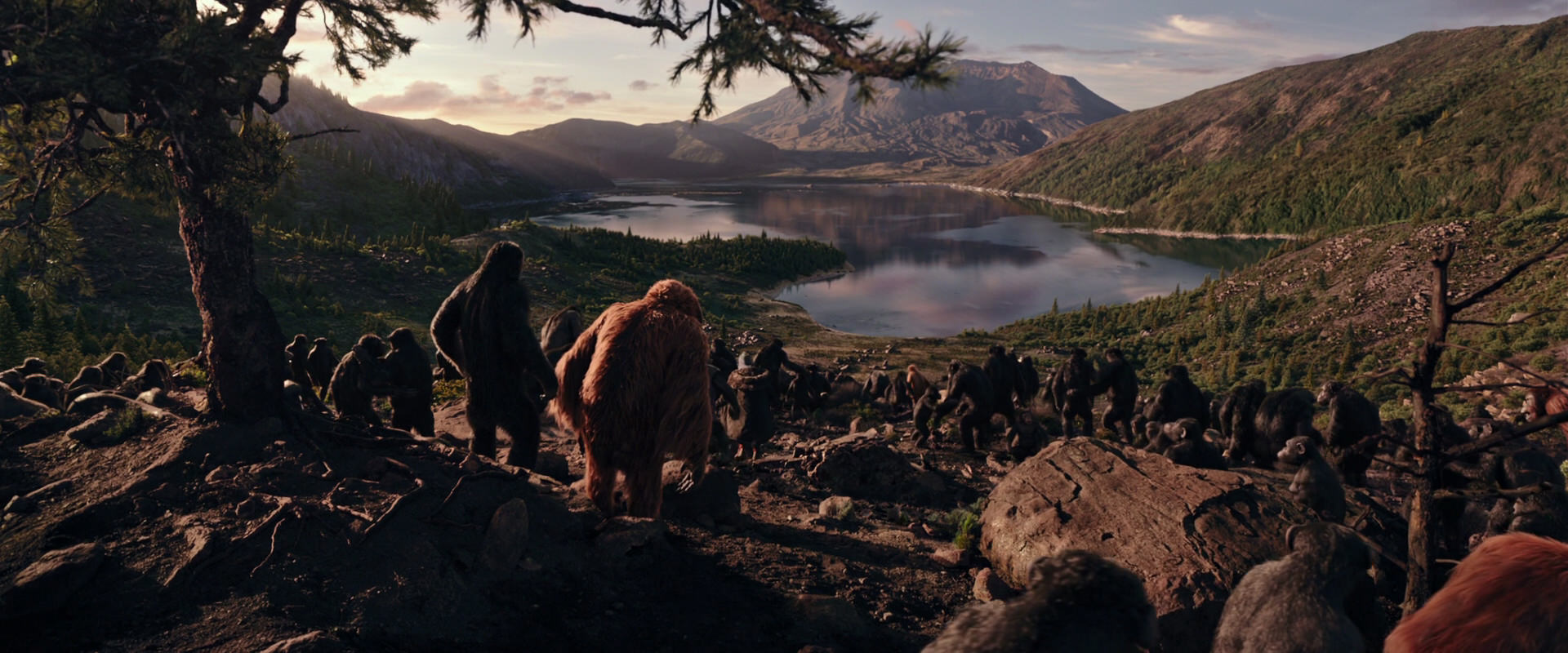 War for the Planet of the Apes (2017) movie still 15124