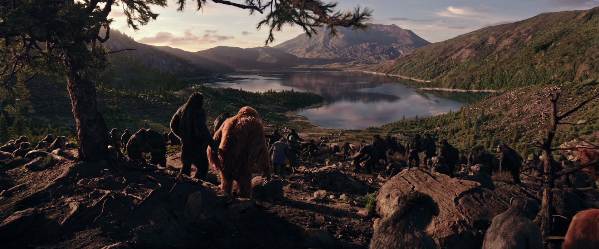 War for the Planet of the Apes (2017) screencap 15126