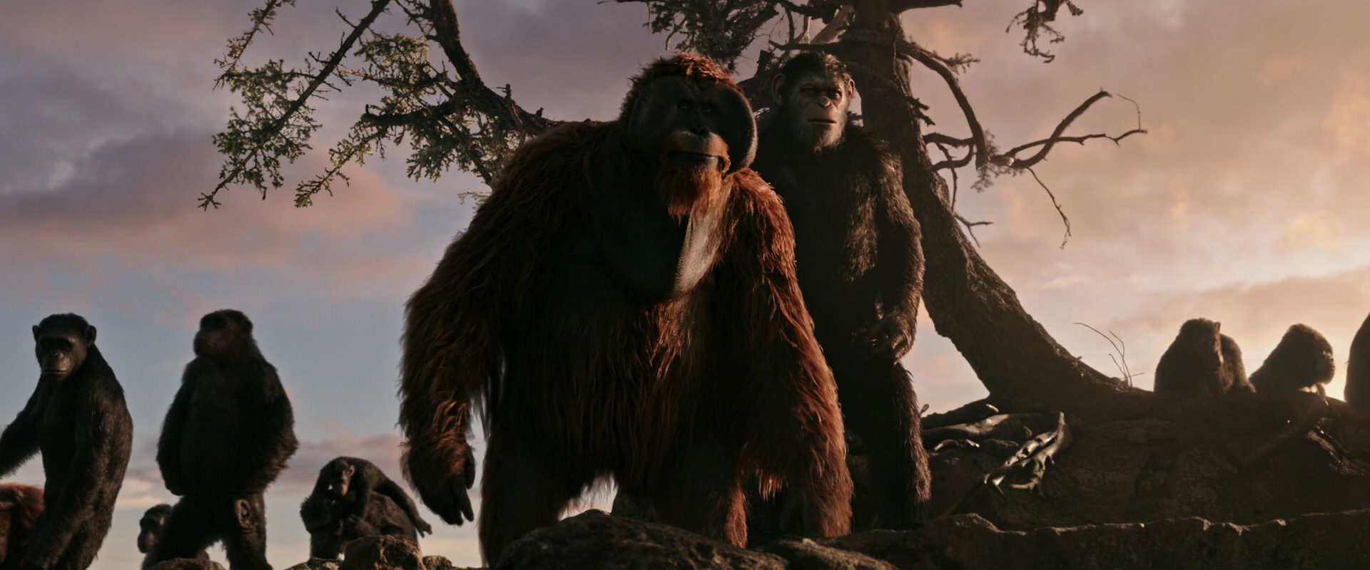 War for the Planet of the Apes (2017) HD screenshot 15128