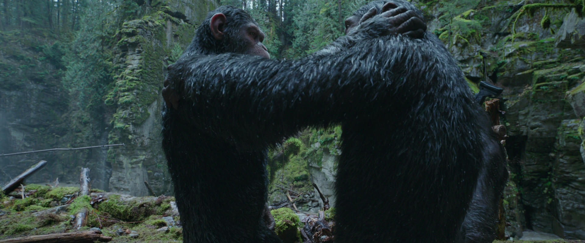 War for the Planet of the Apes (2017) movie still 1513