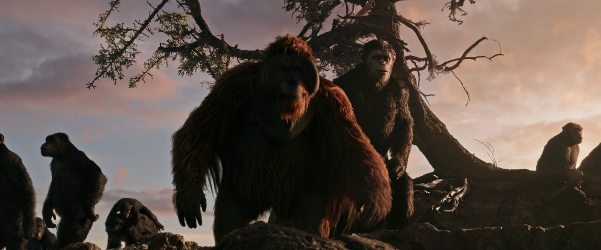 War for the Planet of the Apes (2017) movie still 15130