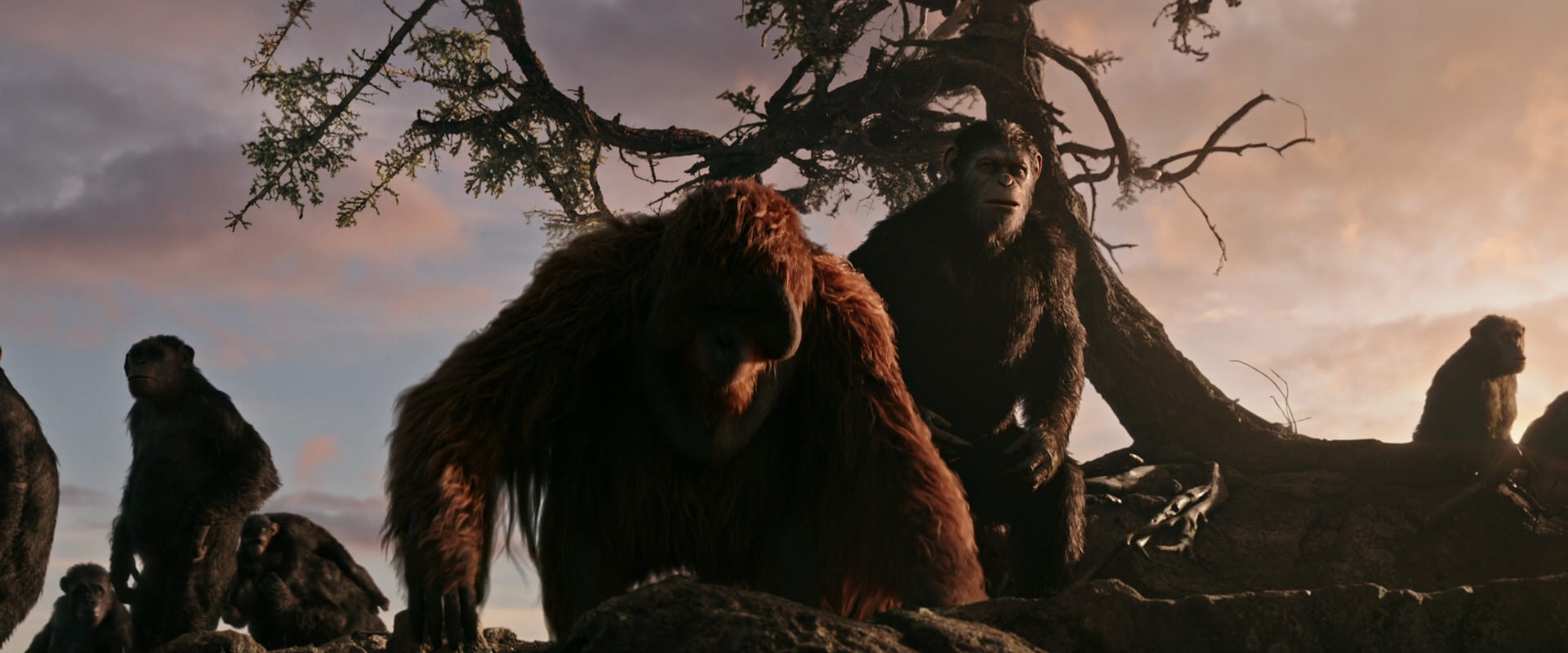 War for the Planet of the Apes (2017) HD screenshot 15131