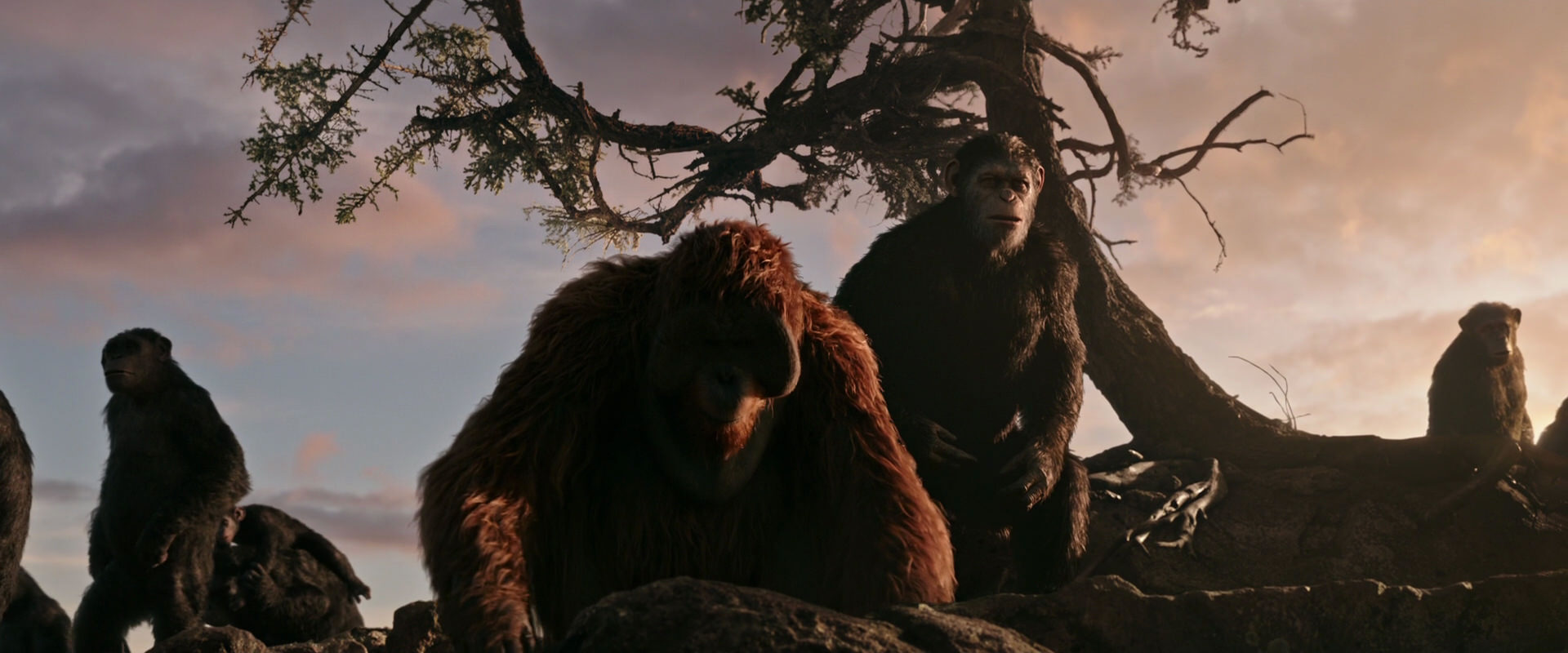 War for the Planet of the Apes (2017) screencap 15132