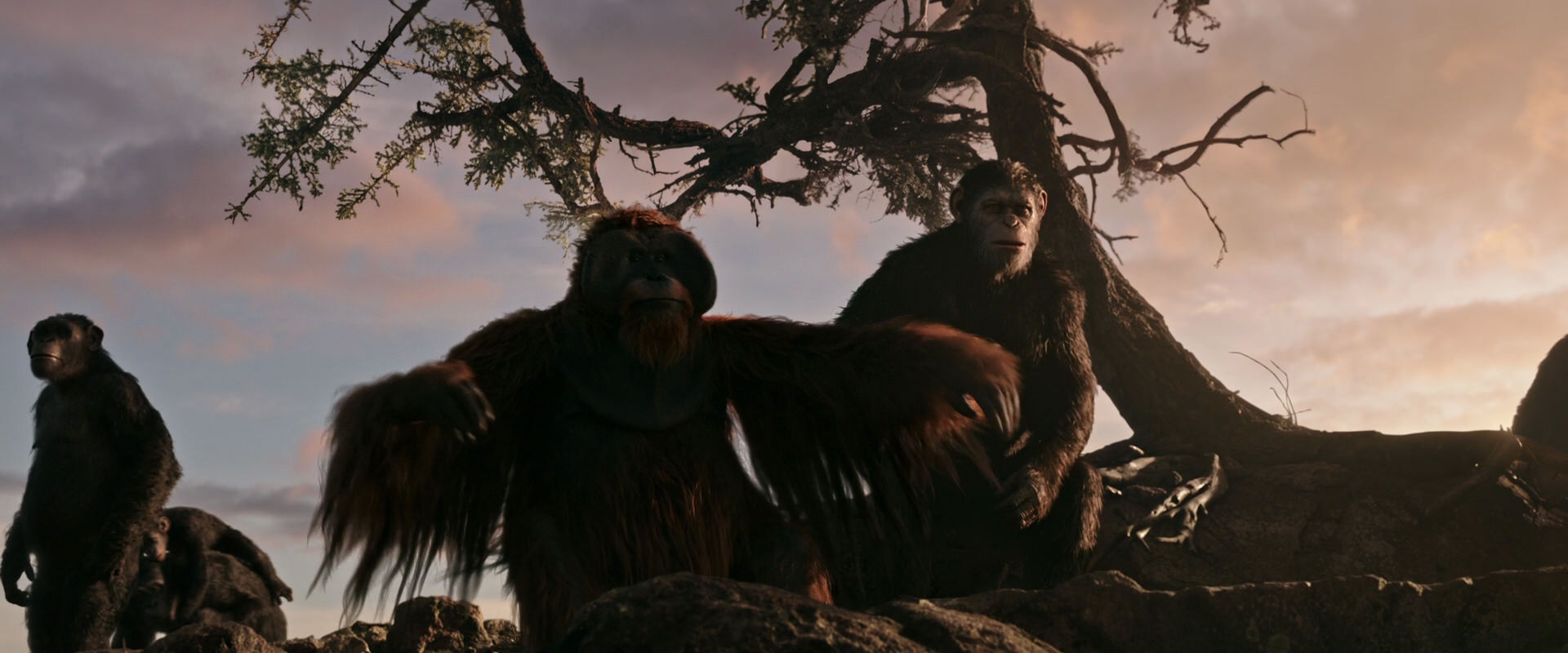 War for the Planet of the Apes (2017) HD screenshot 15134