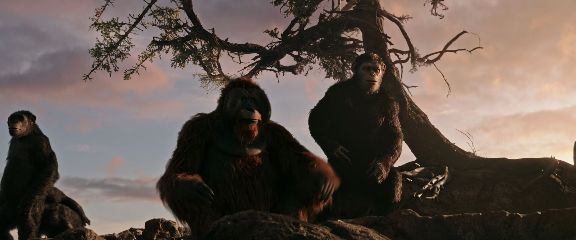 War for the Planet of the Apes (2017) screencap 15135