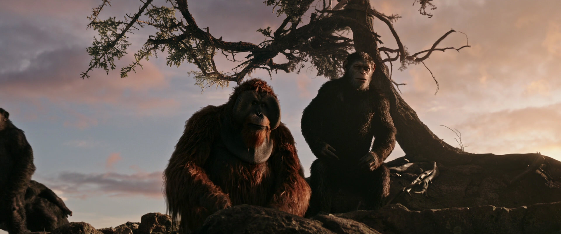 War for the Planet of the Apes (2017) movie still 15136
