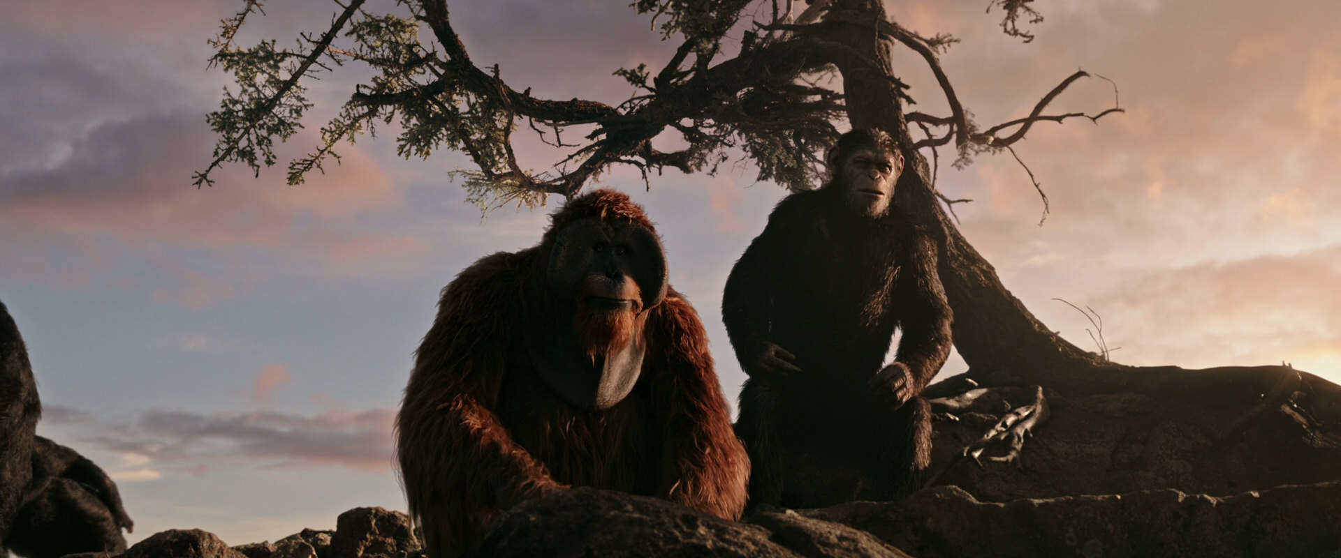 War for the Planet of the Apes (2017) HD screenshot 15137