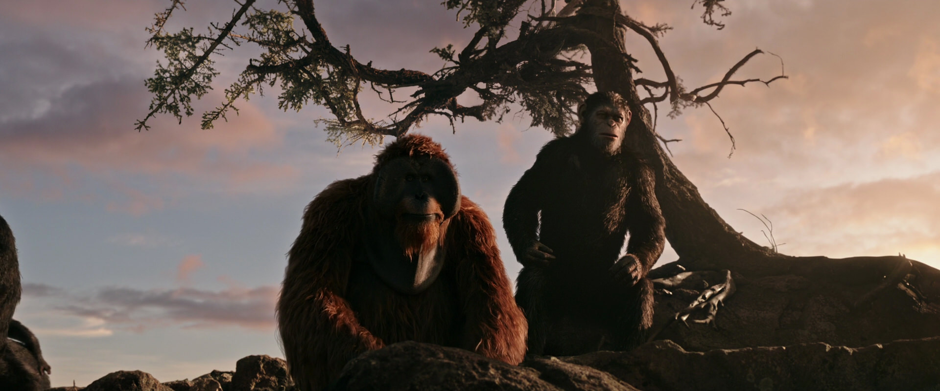 War for the Planet of the Apes (2017) screencap 15138