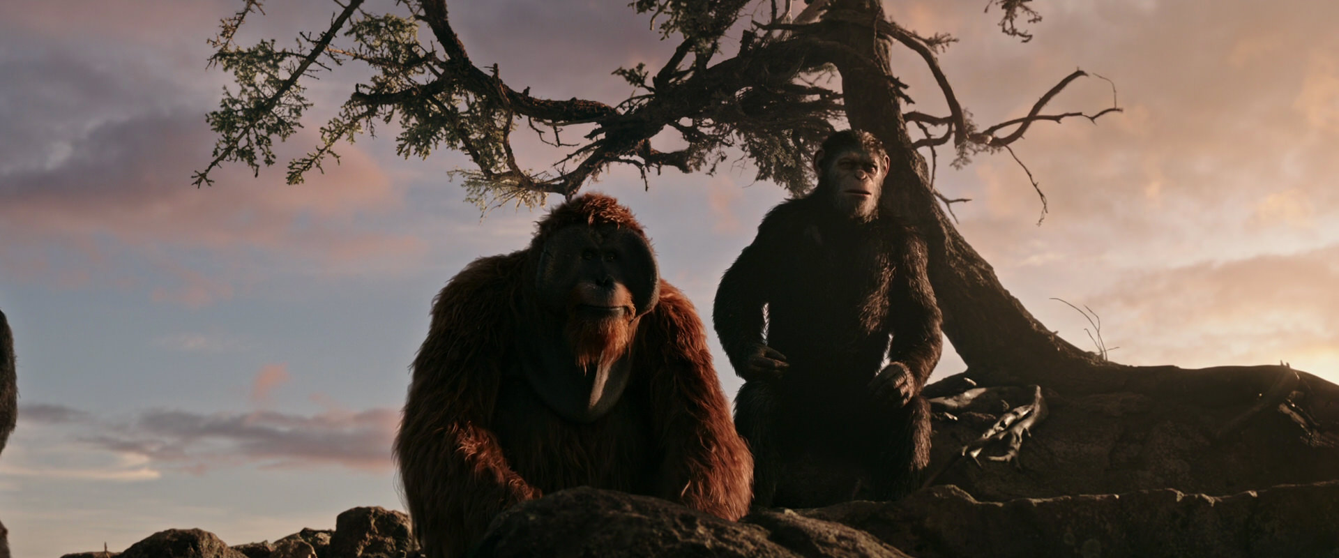 War for the Planet of the Apes (2017) movie still 15139
