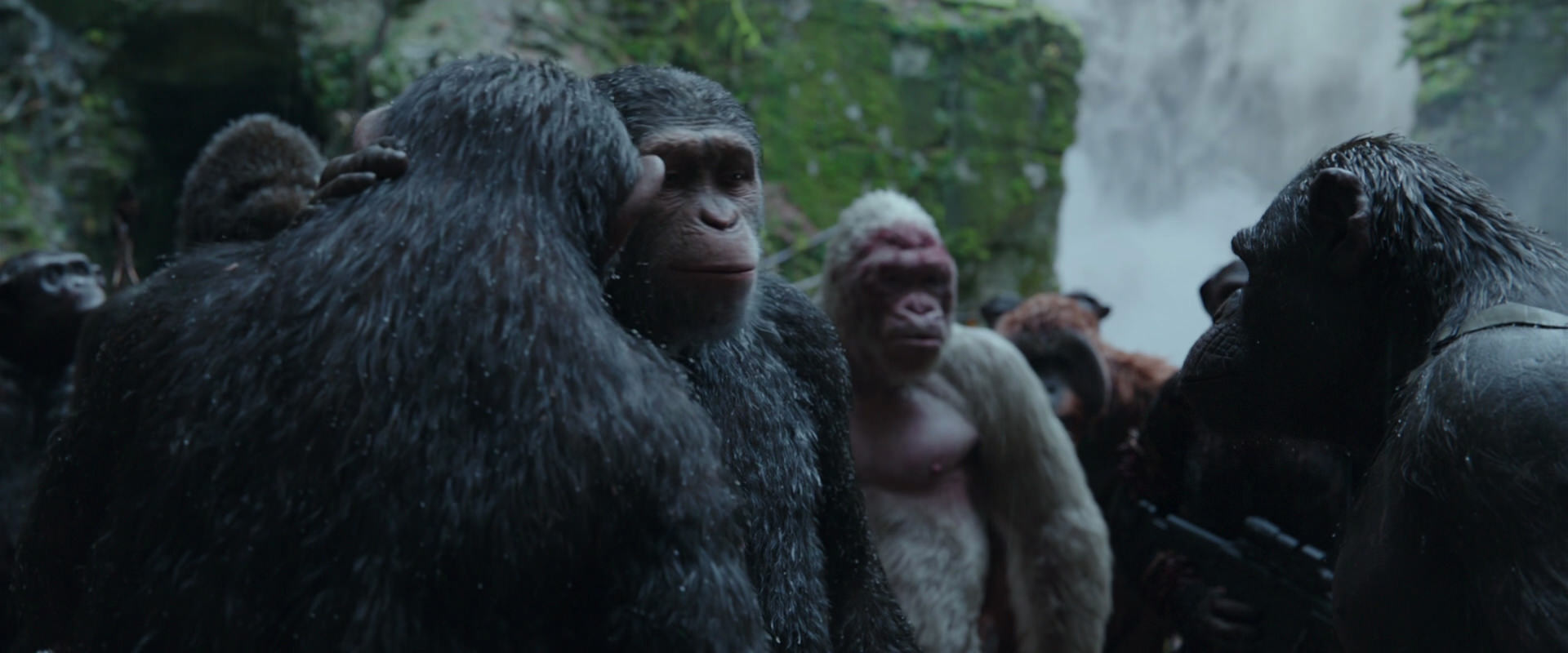 War for the Planet of the Apes (2017) HD screenshot 1514