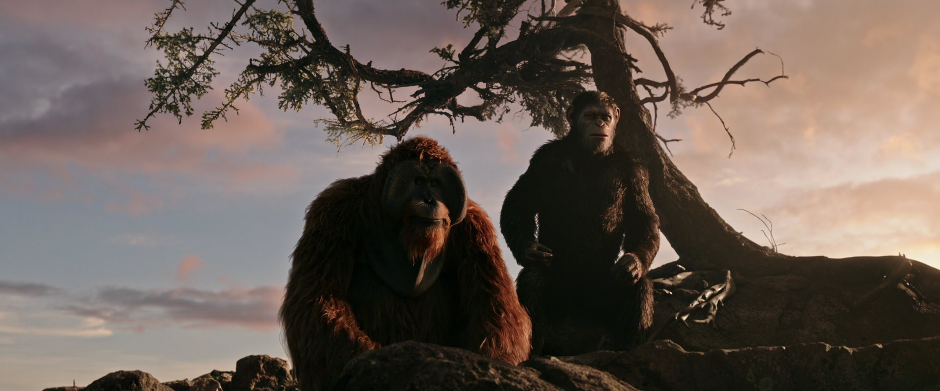War for the Planet of the Apes (2017) HD screenshot 15140