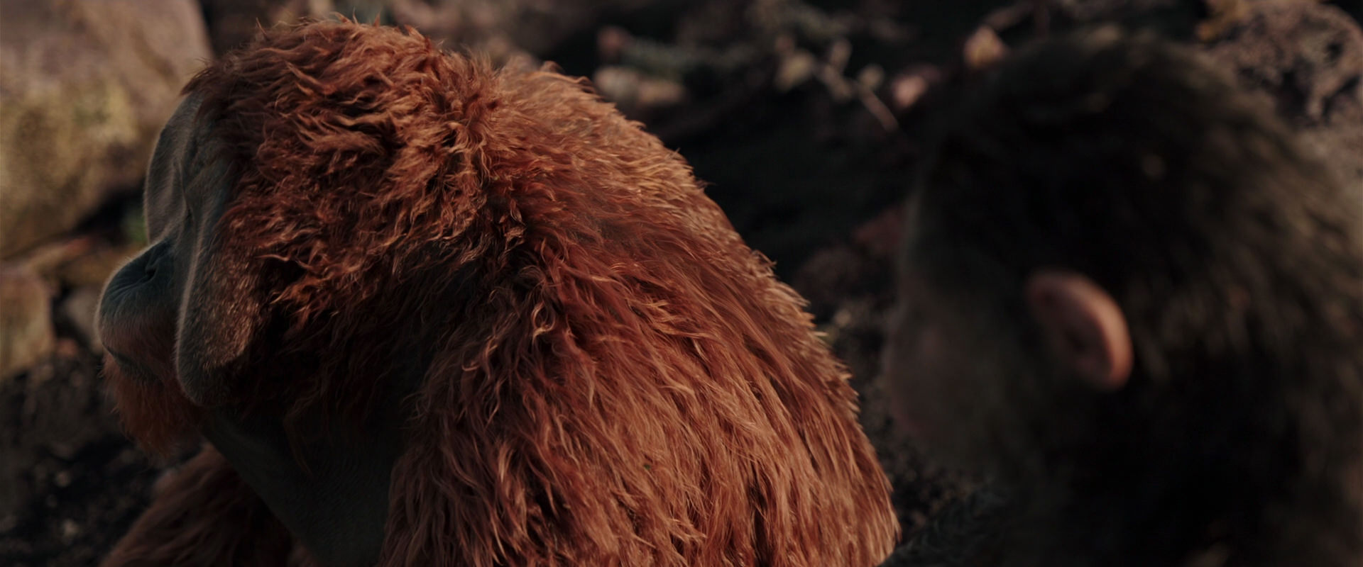 War for the Planet of the Apes (2017) screencap 15141