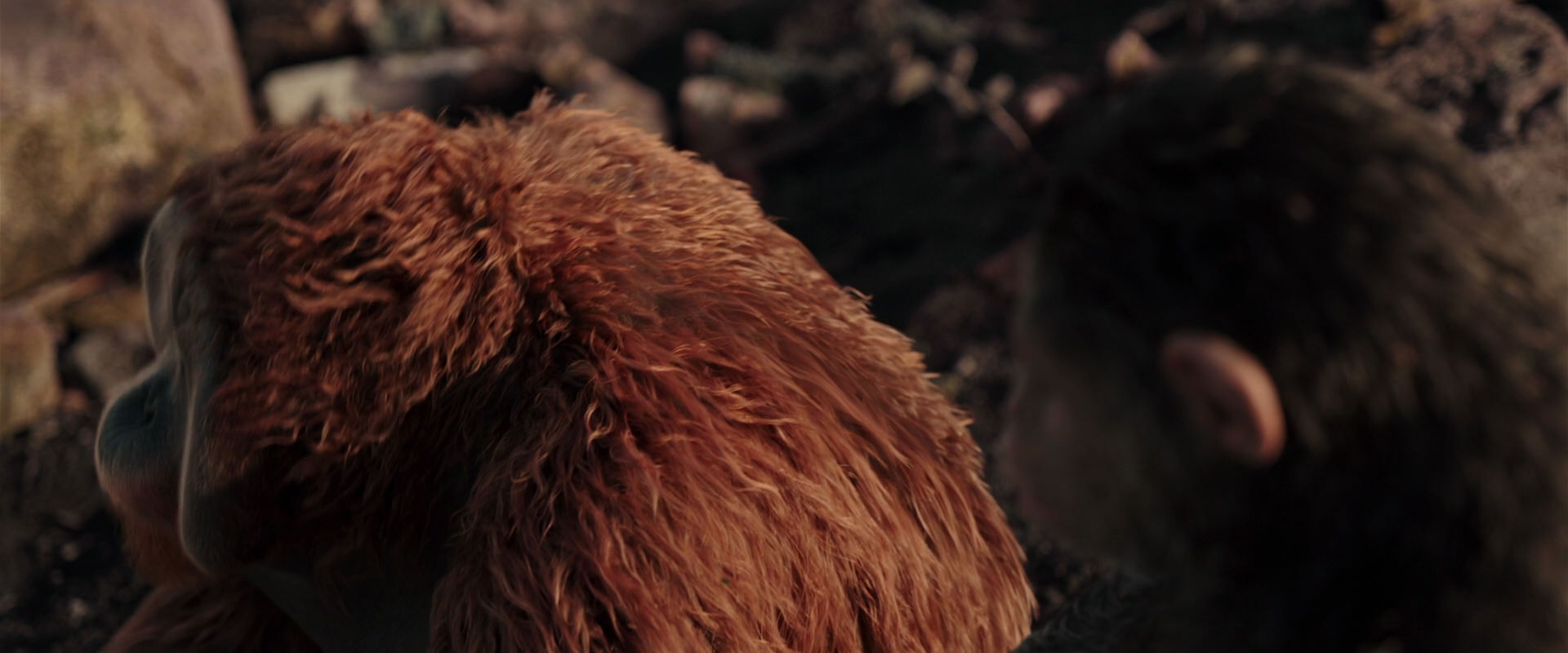 War for the Planet of the Apes (2017) movie still 15142