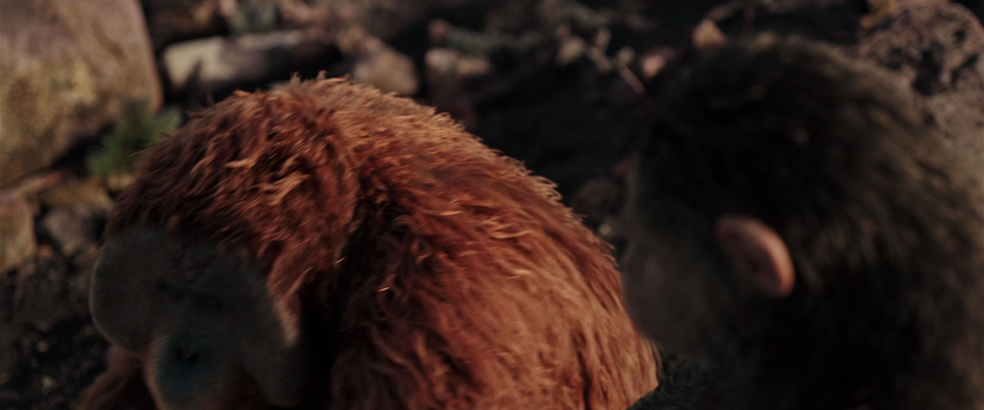 War for the Planet of the Apes (2017) HD screenshot 15143