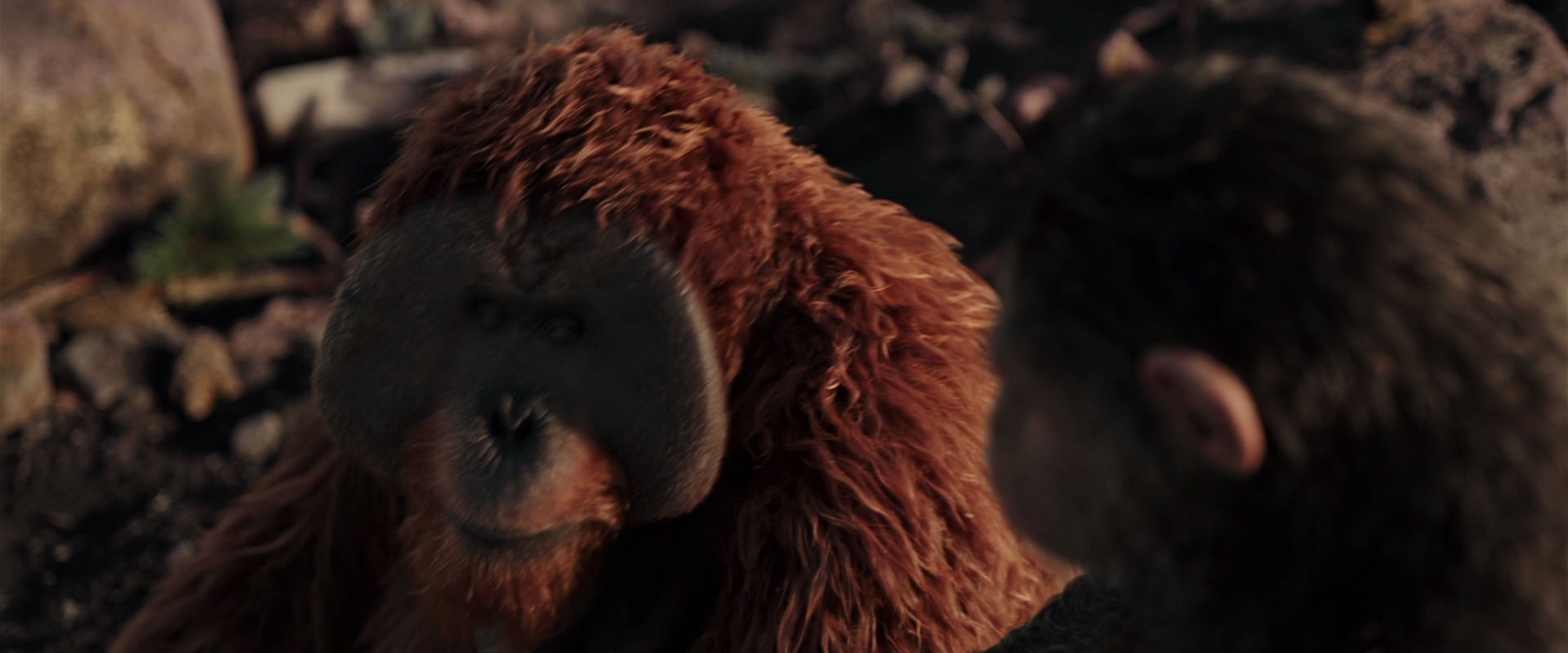 War for the Planet of the Apes (2017) screencap 15144