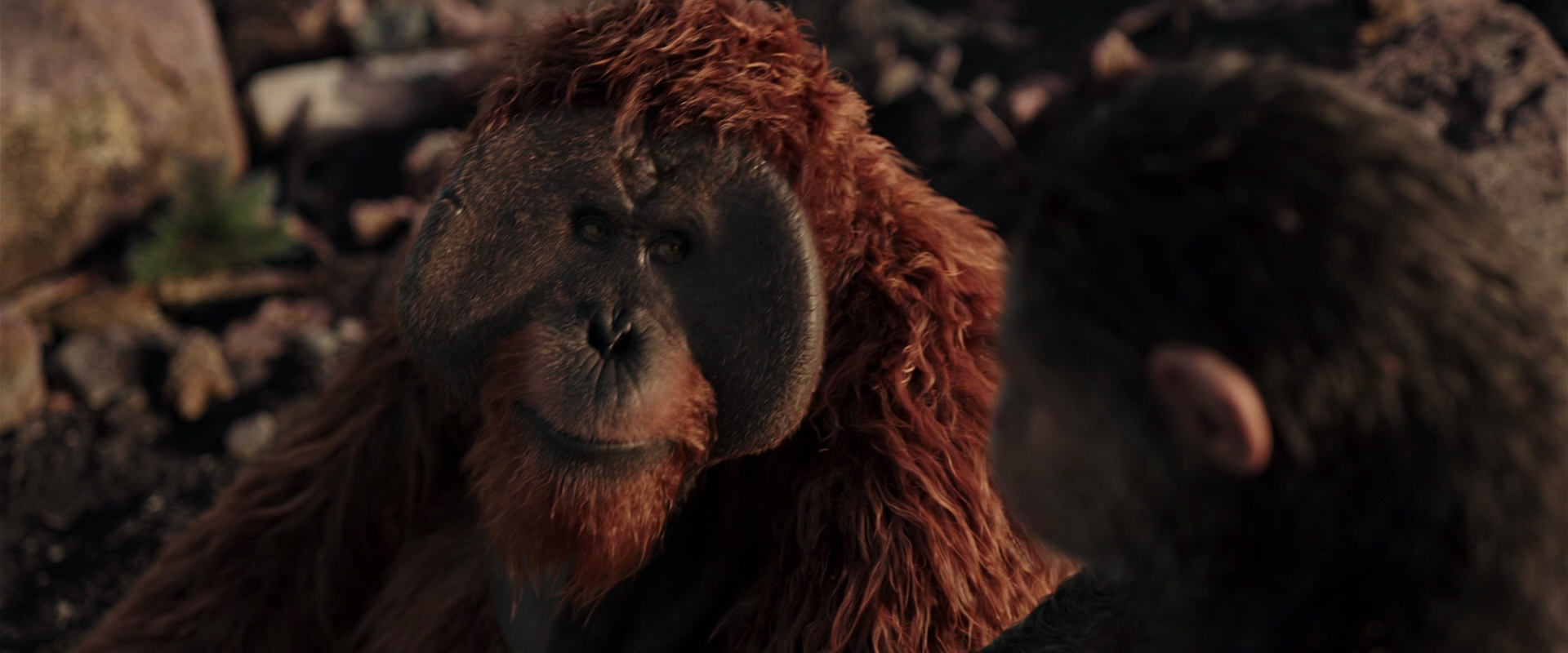 War for the Planet of the Apes (2017) movie still 15145