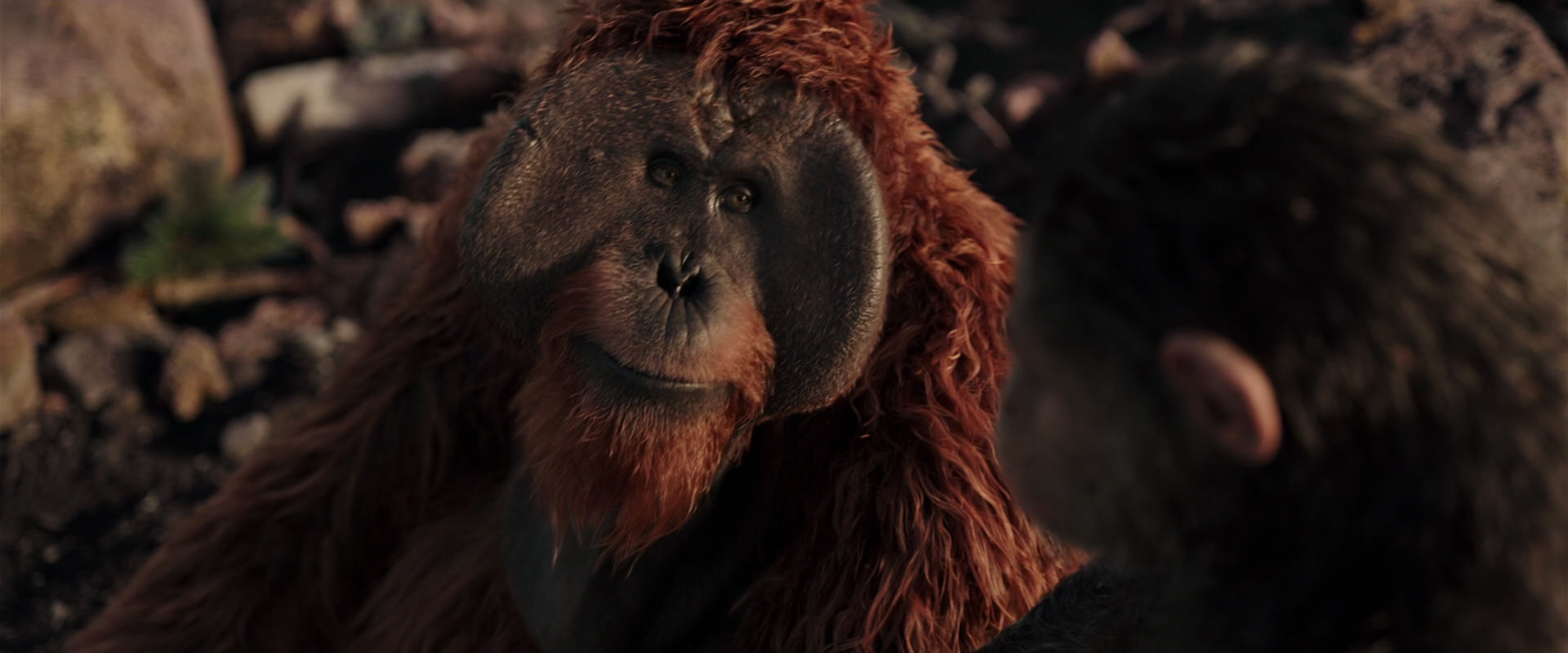 War for the Planet of the Apes (2017) HD screenshot 15146